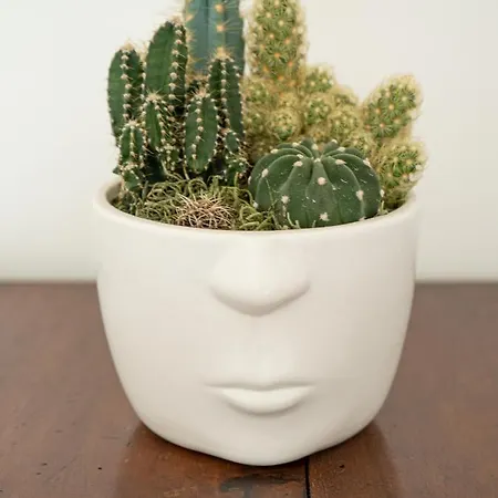 Daire Luminosa Casetta Per Due